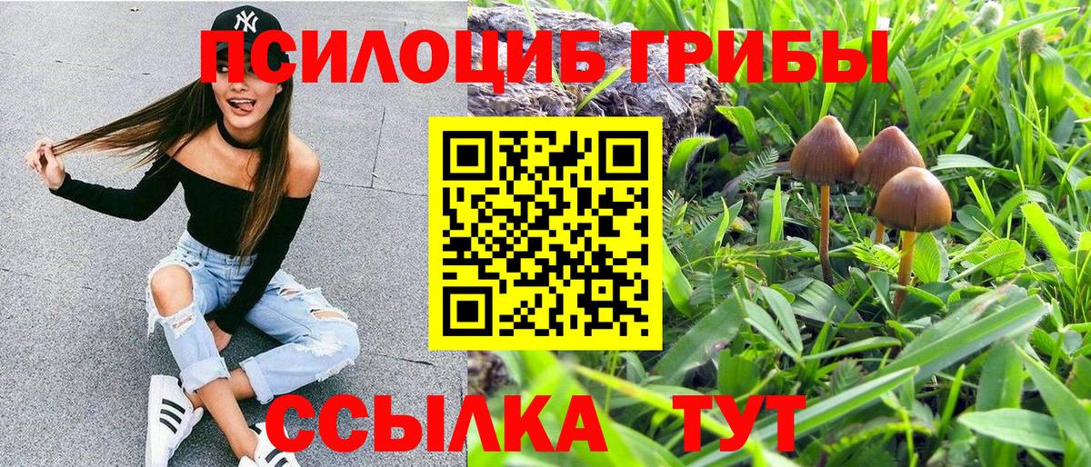Нижнеудинск  Псилоцибиновые грибы прущие грибы  Вход с VPN 